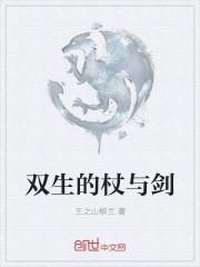 双生的杖与剑