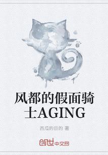 风都的假面骑士AGING