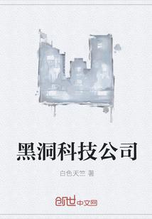 黑洞科技公司