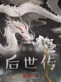 全职法师之后世传