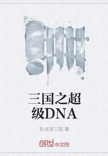 三国之超级DNA