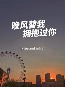 晚风替我拥抱过你