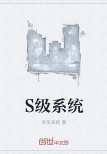 S级系统