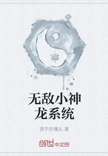 无敌小神龙系统