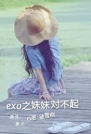 EXO之妹妹对不起