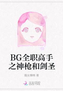 BG全职高手之神枪和剑圣