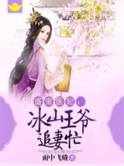 盛宠医妃：冰山王爷追妻忙