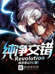 纯净交错Revolution