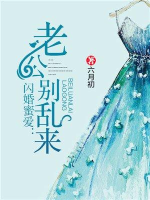 闪婚蜜爱：老公别乱来