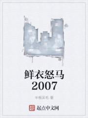 鲜衣怒马2007