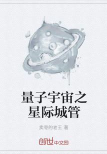 量子宇宙之星际城管