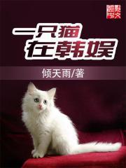 一只猫在韩娱