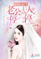 甜婚蜜宠：老公大人停一停