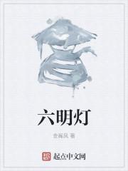 六明灯