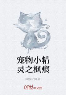 宠物小精灵之枫痕