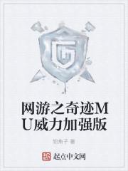 网游之奇迹MU威力加强版